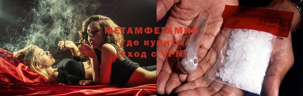 прущие грибы Баксан