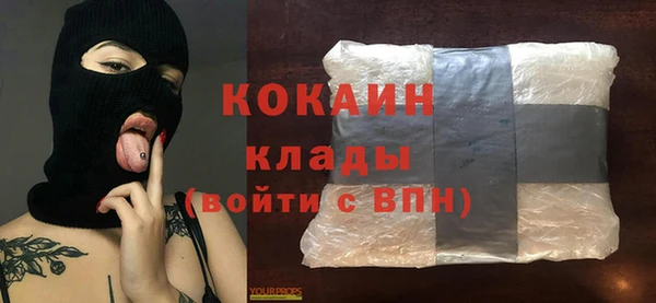 прущие грибы Баксан