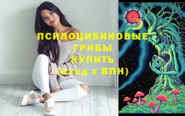 мдпв Балахна